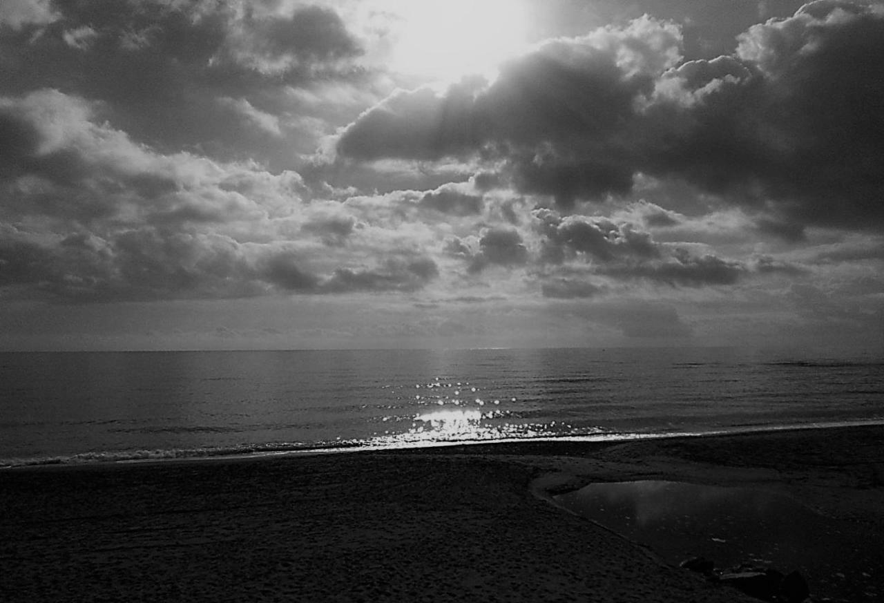 Ap 150 M Playa Apartman Pals Kültér fotó